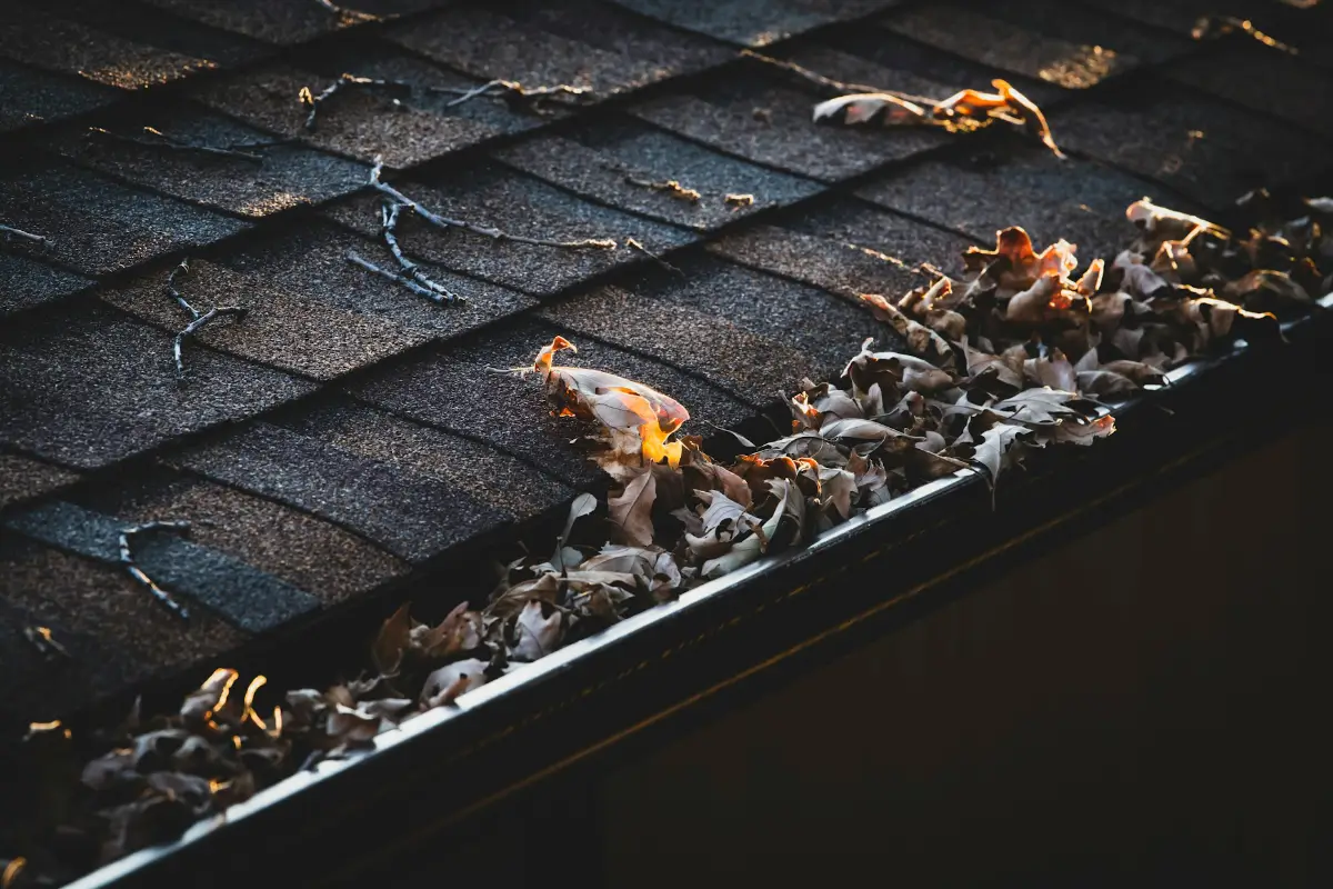 Professional gutter replacement service
